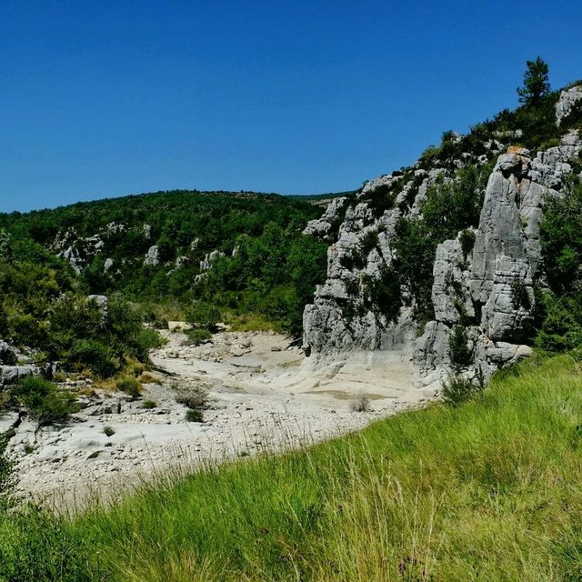 A Treasure of Nature