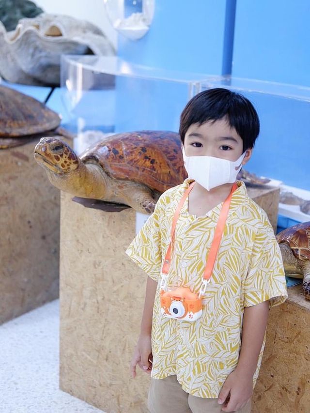 พิพิธภัณฑ์สัตว์น้ําหว้ากอ จ.ประจวบคีรีขันธ์ 🐳💕