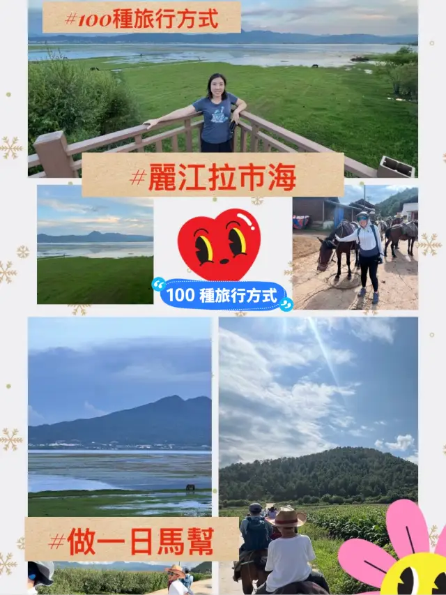 到麗江拉市海騎馬做一日馬幫｜體驗茶馬古道