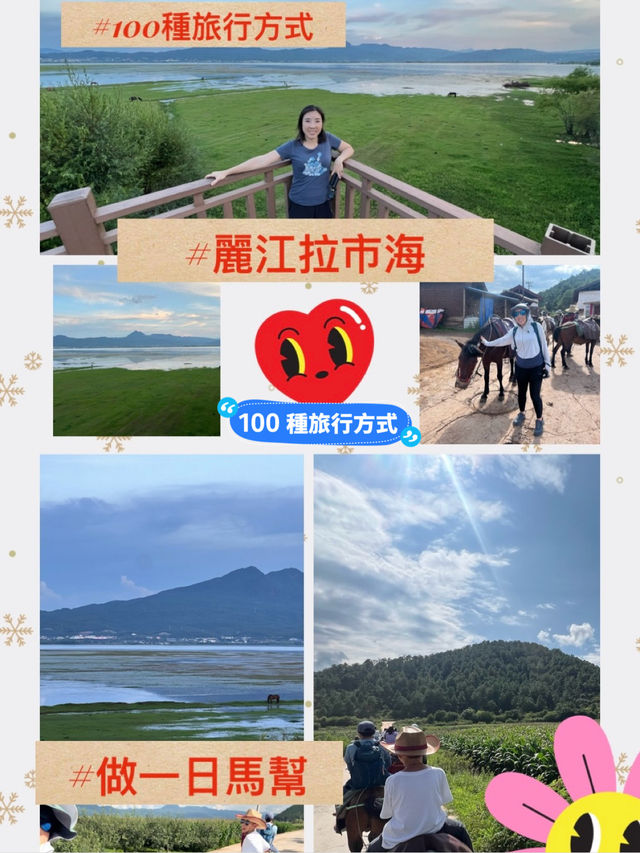 到麗江拉市海騎馬做一日馬幫｜體驗茶馬古道