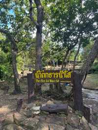 น้ำตกคำน้ำสร้าง ในอุทยานแห่งชาติภูผายล สกลนคร