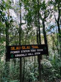 A Walk To Remember: Breathtaking Kinabalu