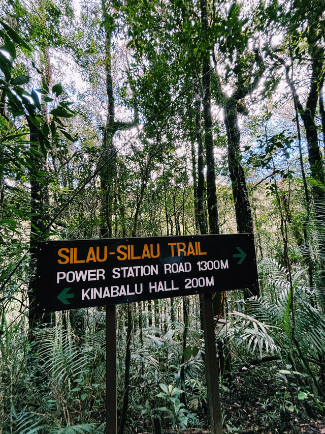A Walk To Remember: Breathtaking Kinabalu