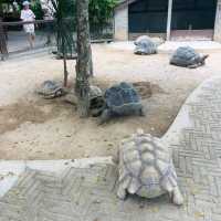 The Bentong Farm Malaysia