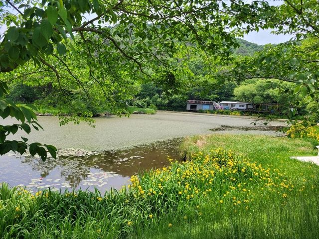 캠핑클럽🏕 촬영지로 유명한, 자연을 즐기며 쉬어가는 곳 