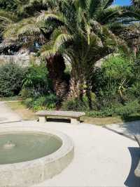 An oasis in the city