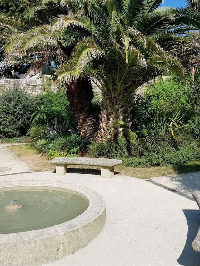 An oasis in the city