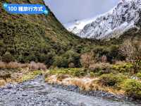 紐西蘭南島-Monkey Creek 欣賞可愛的啄羊鸚鵡