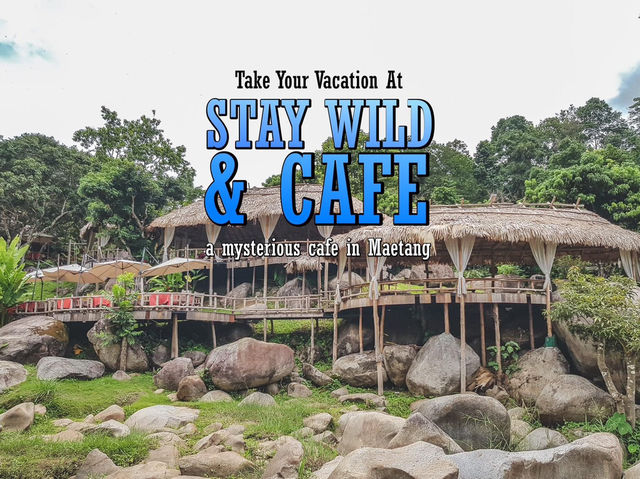 หลบความวุ่นวายมาผ่อนคลายที่ Stay Wild & Cafe 🕊️🌳