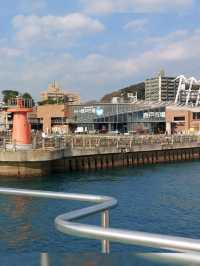 🌏環遊世界🌐搜尋最新鮮海產•唐戶市場•日本下關🚢🍣🍶