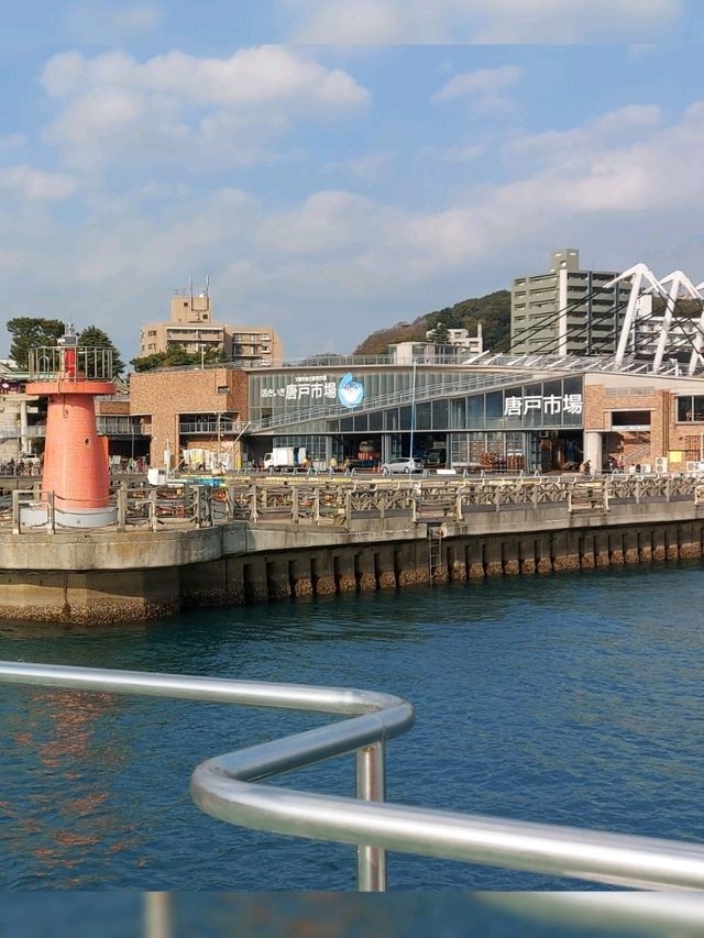 🌏環遊世界🌐搜尋最新鮮海產•唐戶市場•日本下關🚢🍣🍶
