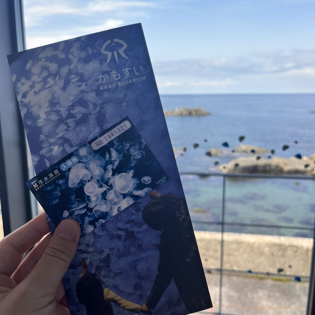 鶴岡駅からバスで40分！『加茂水族館』でクラゲを見る🪼