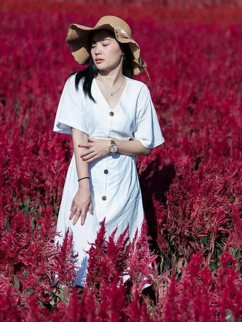 I Love Flower Farm สวนดอกไม้เชียงใหม่