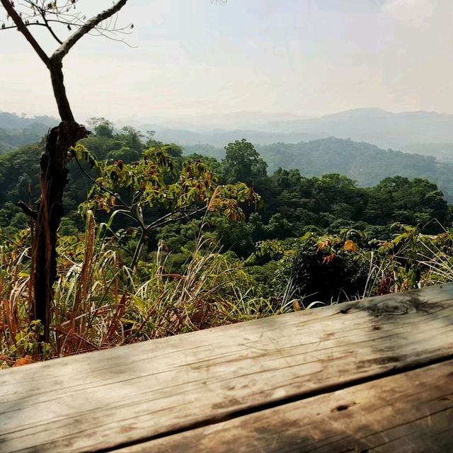 【臺中】熱門登山步道，適合喜歡自然景觀和健行活動的人