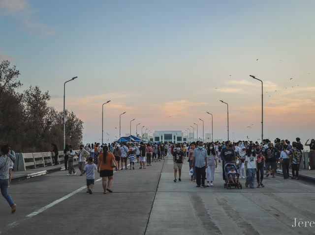 รีวิว สถานตากอากาศบางปู ( ดูนกนางนวล ) 🕊️
