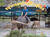 รีวิว หมู่บ้านอนุรักษ์ควายไทย 🐃 (สุพรรณบุรี)