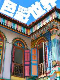 【 新加坡旅遊 】小印度進入印度色彩的世界