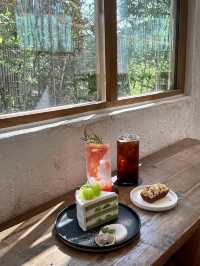 담양 메콰스콰이어 찍고 들리기 좋은 카페 소예르 🌳🌿