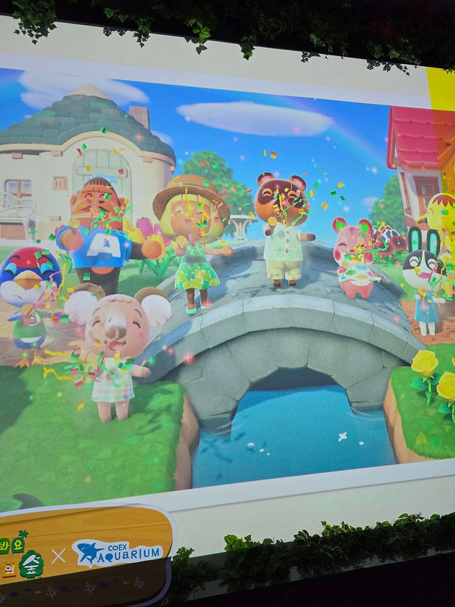 ෆ˃̵͈̑ᴗ˂̵͈̑ෆ 코엑스 아쿠아리움 동물의숲