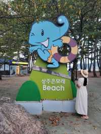 여름이 지나도 여전히 남해핫플 상주해수욕장🏖