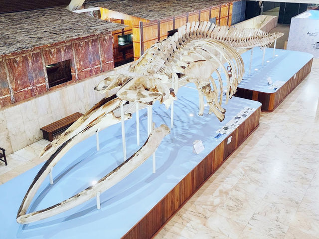 Sabah State Museum (Muzium Sabah)