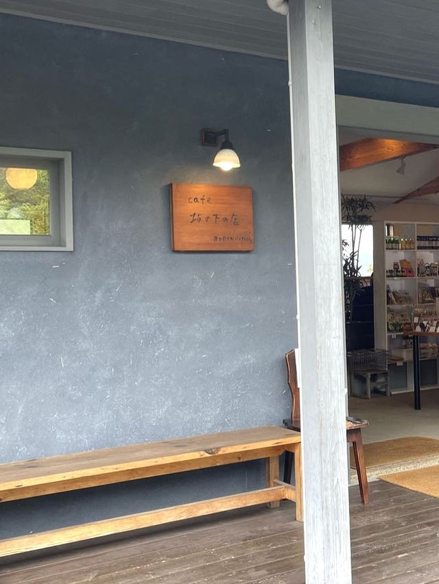 【福岡カフェ】どれから食べるか悩んでしまう！お野菜たっぷりのランチ🍽