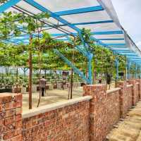 🇲🇾 Taman Anggur & Strawberry Darul Zahra: A Rooftop Retreat
