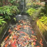Lalitta Cafe คาเฟ่สวนป่าหิมพานต์ @ เชียงราย