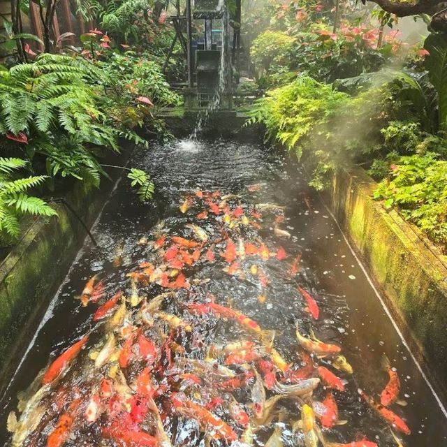 Lalitta Cafe คาเฟ่สวนป่าหิมพานต์ @ เชียงราย