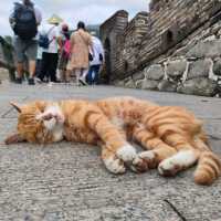 One day trip with "MuTianYu Great Wall", China