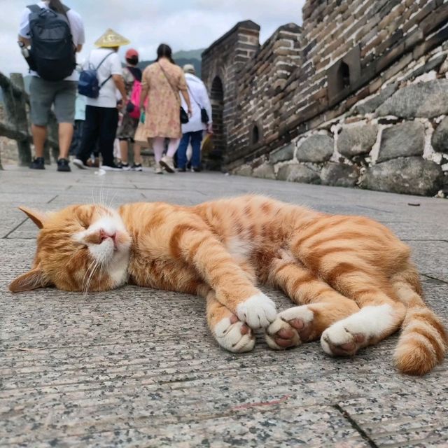 One day trip with "MuTianYu Great Wall", China