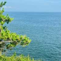 🌊 根本海岸：天然的美麗畫卷