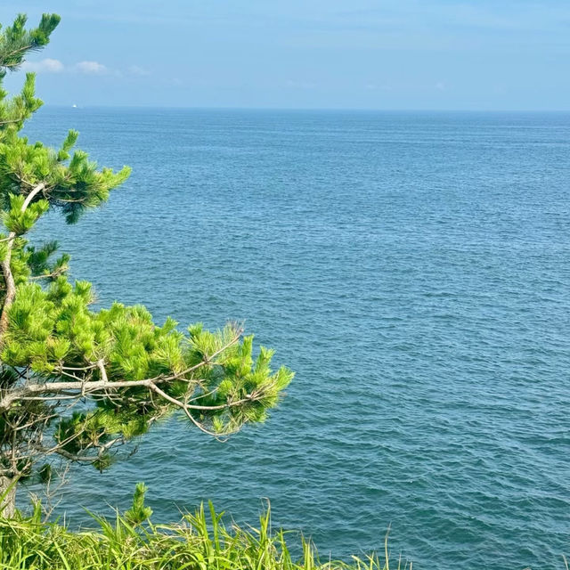 🌊 根本海岸：天然的美麗畫卷