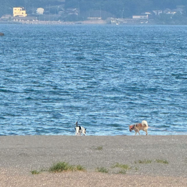 🌊 根本海岸：天然的美麗畫卷