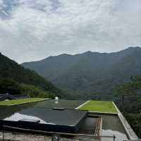 大人の韓国旅
