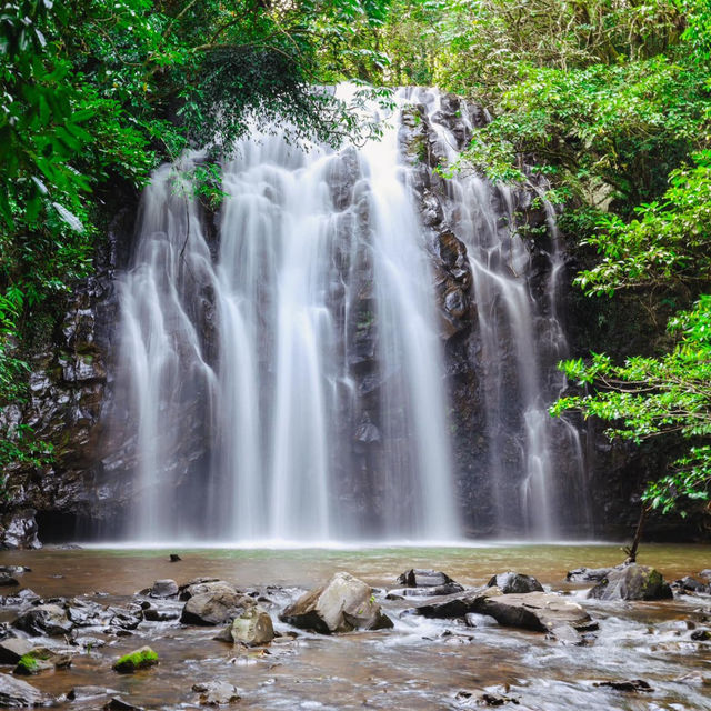 Chasing Waterfalls: Uncovering Atherton Tablelands' Hidden Gems