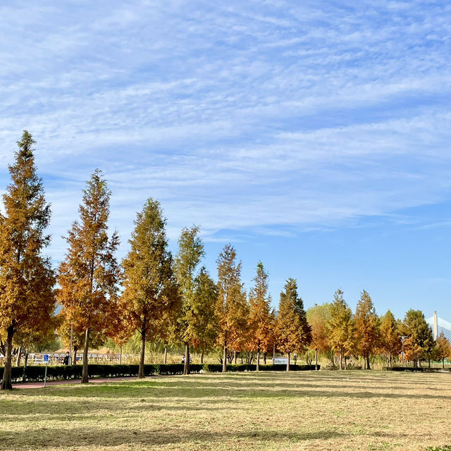 부산의 숨겨진 가을산책길을 찾아서🍂🍁