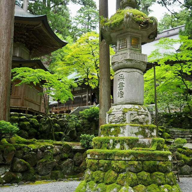 八阪神社：歷史文化的交匯點 ⛩️🌸