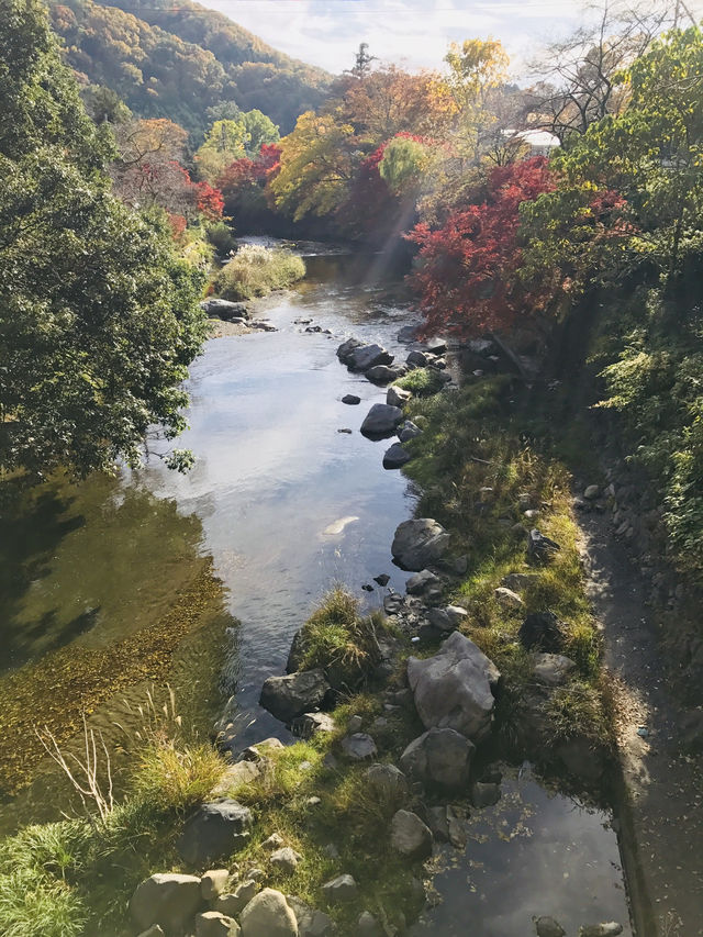 日本🇯🇵京都 - 琉璃光院 絕美的賞楓🍁地點