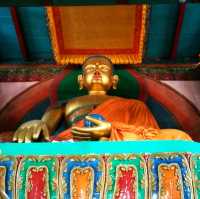 Manali เมืองตากอากาศอินเดีย