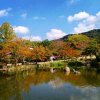 【京都】京都旅はここから始まる！名勝円山公園