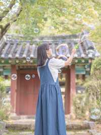 자연과 역사가 살아 숨쉬는 즐거운 여행지 영월💚 