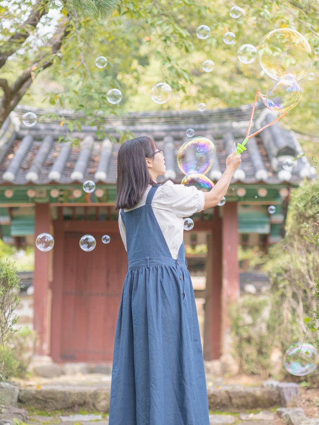 자연과 역사가 살아 숨쉬는 즐거운 여행지 영월💚 