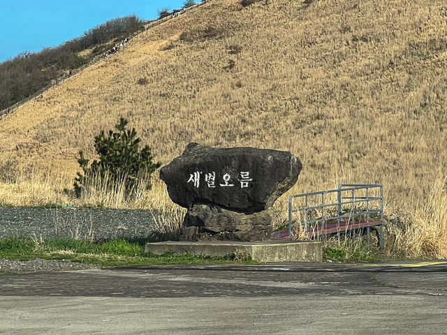 제주 애월에서 새별오름까지, 숨은 보석 같은 오름 여행 코스
