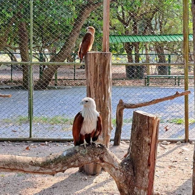สวนสัตว์เปิดท่าลาด  จ.นครศรีธรรมราช 🐻