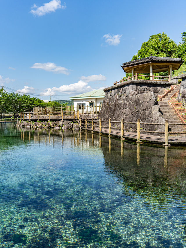 【鹿児島県】霧島山麓丸池湧水