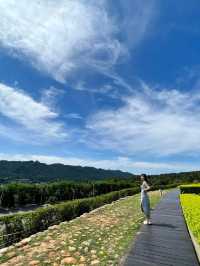 苗栗銅鑼 散步放空賞山巒