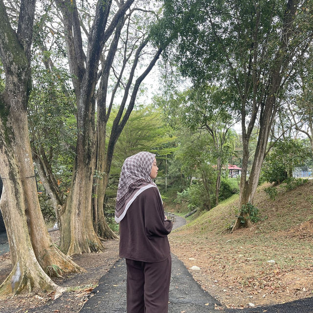 Nice view while jogging