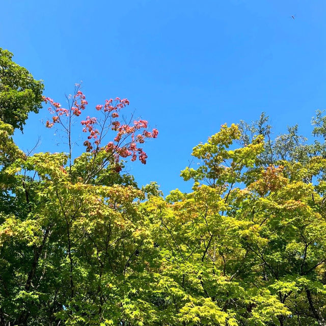 삿포로의 숨겨진 보물, 모나미 공원