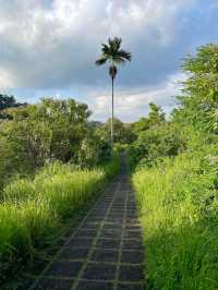 Tranquil Trails at Campuhan Ridge Walk